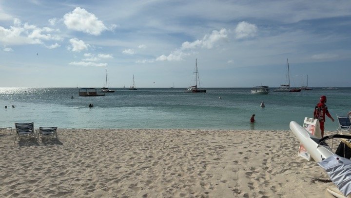 Palm Beach umbrella rental with beach umbrellas on the sand in Aruba